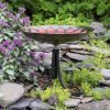 Red African Daisy Birdbath- Tripod Stand
