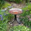 Red African Daisy Birdbath- Tripod Stand