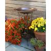 18" Classic Copper Birdbath- Tulip Stand