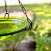 12" Fern Green Hanging Birdbath