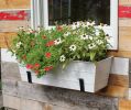 Medium Cape Cod Flower Box