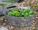 Small Oval Galvanized Tub