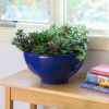 Small Planting Bowl, French Blue