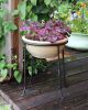 14" Ring Stand
