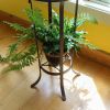 Tulip Plant Stand