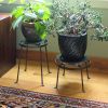14"H Argyle Plant Stand