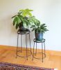 18"H Argyle Plant Stand