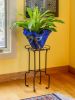 Catalina Plant Stand