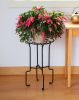 Catalina Plant Stand