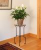 Catalina Plant Stand