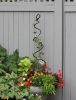 Spiral Trellis