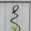 Spiral Trellis
