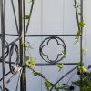 Quatrefoil Trellis