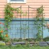 Square-on-Squares Trellis
