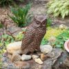 Great Horned Owl