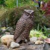 Great Horned Owl