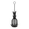 Pineapple Bird Feeder