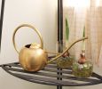 Brass Watering Can